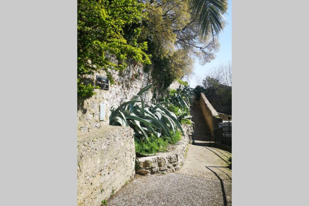 Maison De Village Meublee Avec Terrasse Donzère Εξωτερικό φωτογραφία